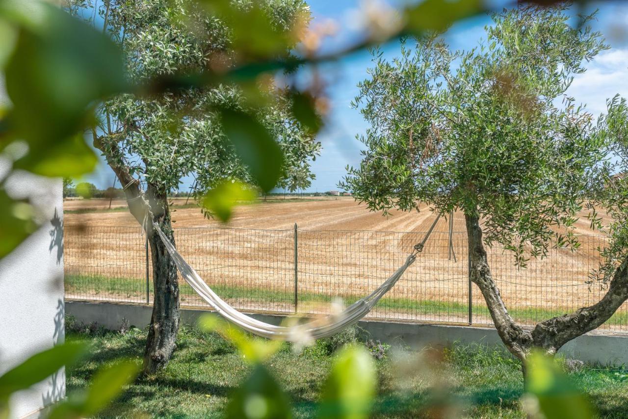 Ortopi Country Canapa House Porto Recanati Eksteriør bilde